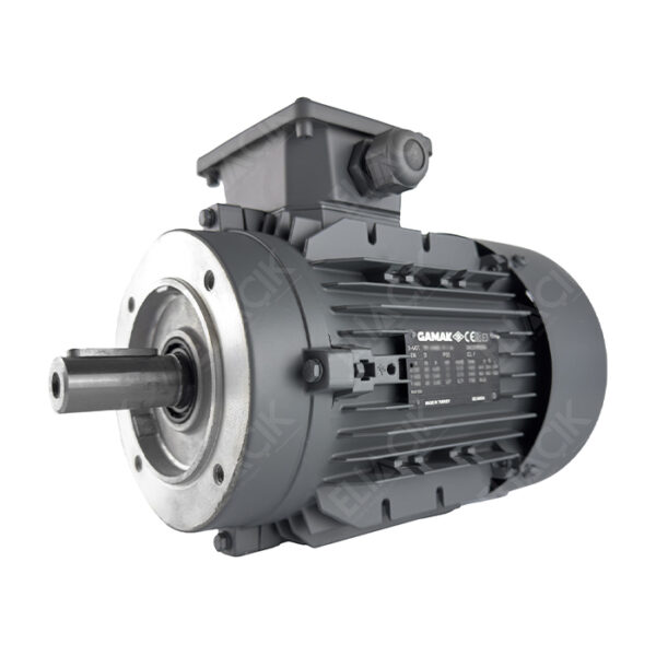0,75 kW 1000 D/DK AGM3EL 90 S 6a B-14 Elektrik Motoru