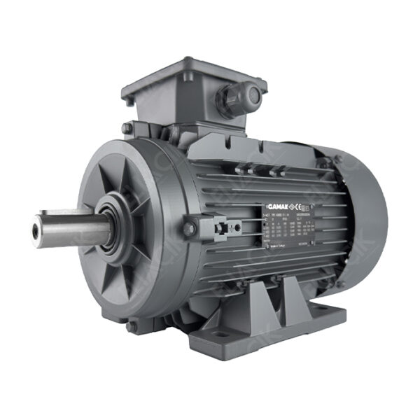 0,75 kW 3000 D/DK AGM3EL 80 M 2a B-3 Elektrik Motoru