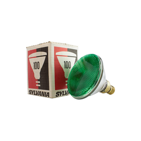 Par 38 Flood Clear 100W 240V E-27