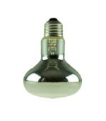 R80 Clear 60W 240V (E27) - Görsel 5