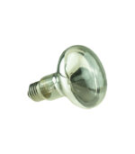 R80 Clear 60W 240V (E27) - Görsel 4
