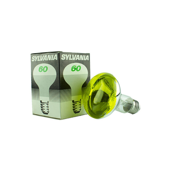 R80 Clear Sarı 60W 240V. (E27)