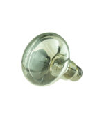 R80 Clear 60W 240V (E27) - Görsel 2