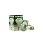 R80 Clear 60W 240V (E27)